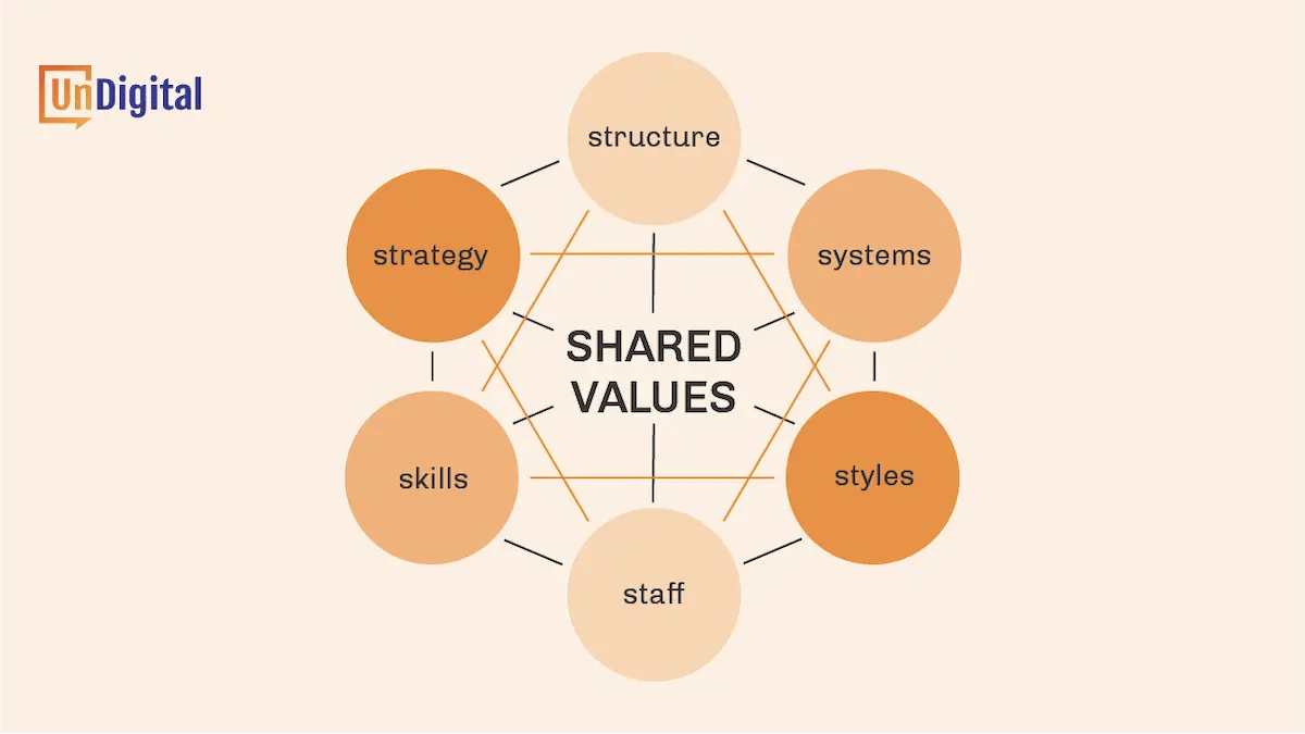 McKinsey 7-S Framework