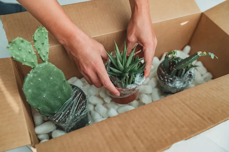 UnDigital Unboxing Experience